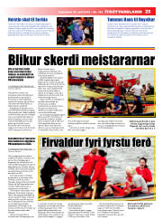 Síða 23