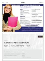 Síða 3