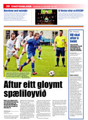 Síða 20