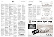 Síða 19