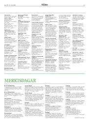 Síða 29