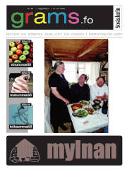 Síða 20