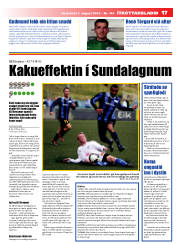 Síða 17