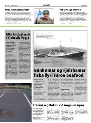 Síða 31
