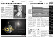Síða 3