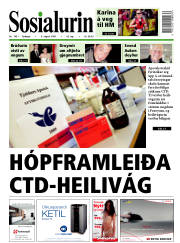 Síða 1