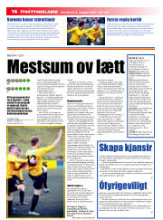 Síða 14