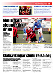 Síða 25