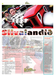 Síða 10