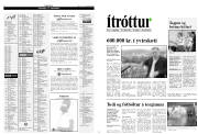 Síða 12