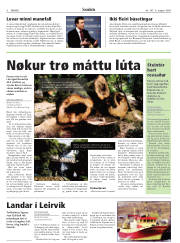 Síða 6