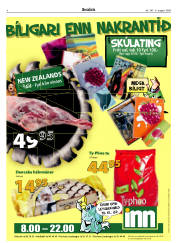 Síða 8