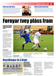Síða 25