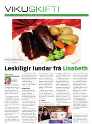 Síða 17