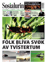 Síða 1