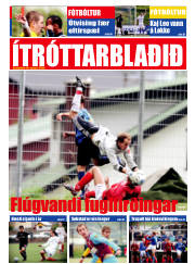 Síða 17