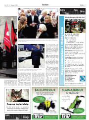Síða 17