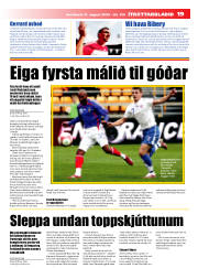 Síða 19