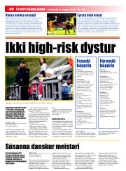 Síða 20