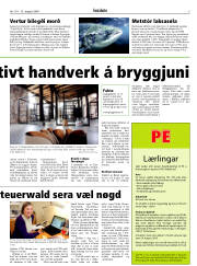 Síða 5
