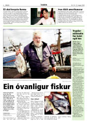 Síða 6