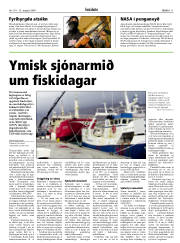 Síða 11