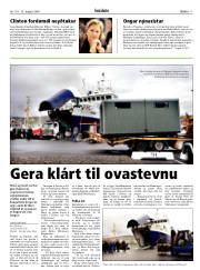 Síða 17