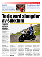 Síða 25