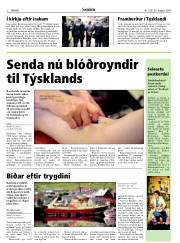 Síða 2