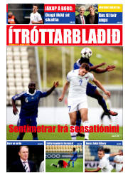 Síða 17