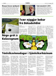 Síða 6