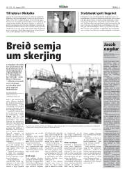 Síða 11