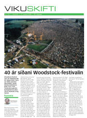 Síða 17