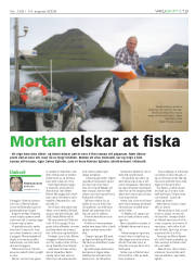 Síða 29