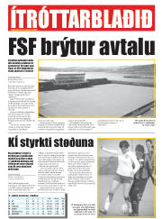 Síða 33