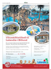 Síða 45