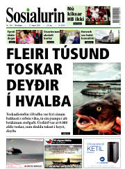 Síða 1