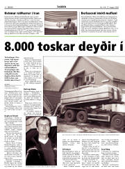 Síða 10