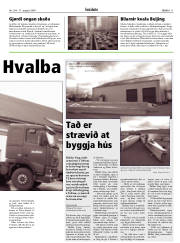 Síða 11