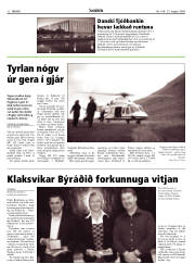 Síða 12