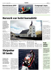Síða 13