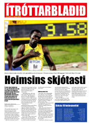 Síða 15
