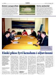 Síða 22