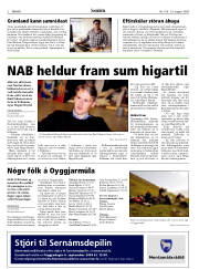 Síða 2