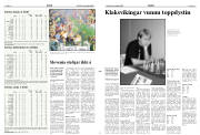 Síða 11