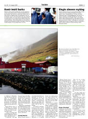 Síða 11