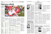 Síða 12