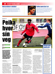Síða 20