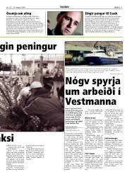Síða 11