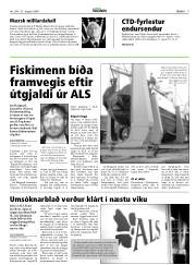 Síða 9
